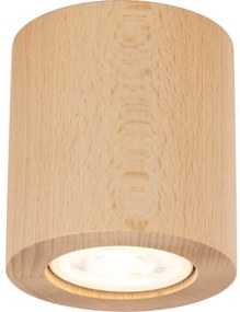 Spot EVE 1xGU10/10W/230V fag