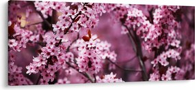 Tablou - Sakura roz (120x50 cm)