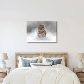 Tablou cutigru fugind prin zăpadă (70x50 cm)