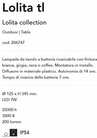 Lampa LED portabila pentru iluminat exterior Lolita tl cafenie