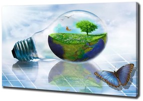 Pictură pe pânză Resurse ecologice