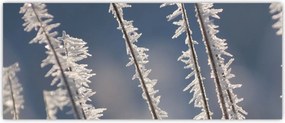 Tablou - Îngheț (120x50 cm)