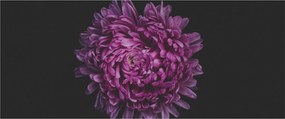 Tablou cu floare violetă (120x50 cm)