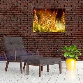 Tablou - Detaliu rouă (70x50 cm)