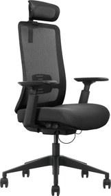 Scaun ergonomic, suport lombar integrat, brațe reglabile, tetieră opțională - Cu tetieră - Negru