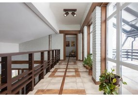 Aplica, Plafoniera cu 2 Spoturi directionabile JAMES bronz