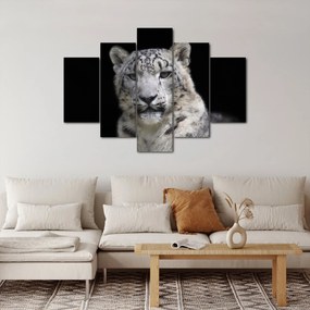 Tablou - Snow Leopard (150x105 cm)