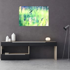 Tablou - Detaliu pajiște (90x60 cm)