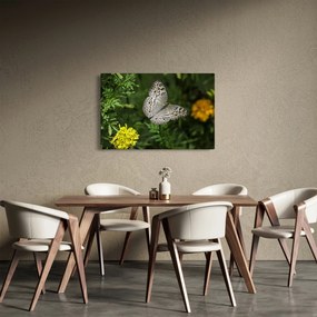 Tablou - fluture alb (90x60 cm)