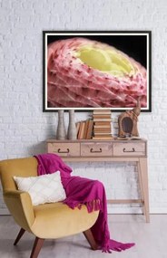 Tablou Framed Art Ranunculus