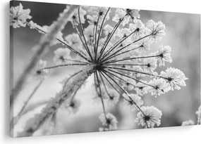 Tablou - Floare în timpul iernii (90x60 cm)