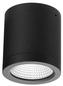 Spot LED aplicat de exterior IP54 CONYON 10W CCT SWITCH