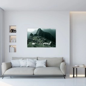 Tablou - Lamas la Machu Picchu în Peru (90x60 cm)