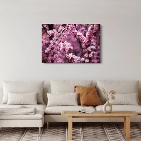 Tablou - Sakura roz (90x60 cm)