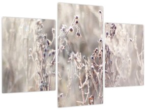 Tablou - Plante (90x60 cm)