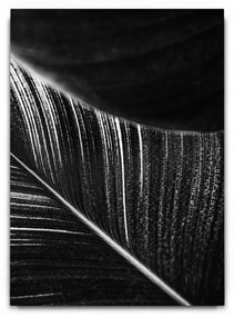 Abstract Leaves 02 BW