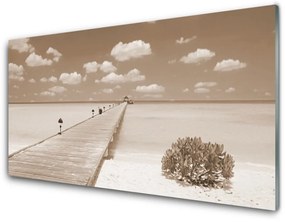 Tablouri acrilice Marea Podul Peisaj Sepia