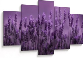Tablou - Lavanda (150x105 cm)