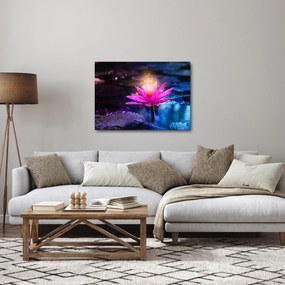 Tablou cu lotus pe apă (70x50 cm)