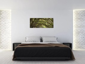 Tablou - Oaks Avenue, Charleston, Carolina de Sud, SUA (120x50 cm)