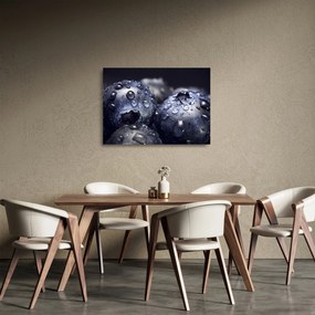 Tablou pe sticlă cu fructe cu picături de apă (70x50 cm)