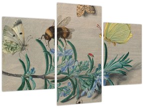 Tablou - Jan van Kessel the Elder, Insects and a Sprig of Rosemary, reproducere (90x60 cm)