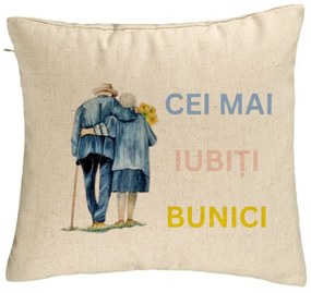 Perna Decorativa pentru Bunici 7, 40x40 cm, Bej, Husa Detasabila, Burduf