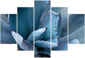 Tablou - Agave (150x105 cm)