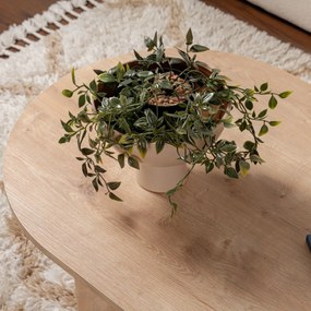 Masă de cafea Sable Sapphire Oak