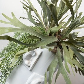 Aranjament floral mare OBICE DAVID EARS LOTUS PLATYCERUM