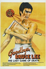 Ilustrație Goodbye Bruce Lee