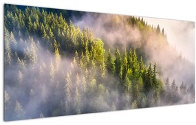 Tablou peisajului montan (120x50 cm)