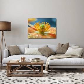 Tablou - Detaliu de floare (70x50 cm)