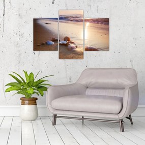 Tablou - Scoici (90x60 cm)