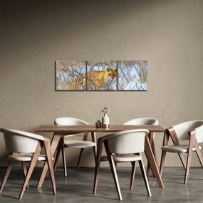 Tablou - Vulpe (cu ceas) (90x30 cm)