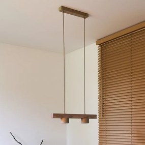 Duolla - Lustra suspendată pe cablu IRONLINE 2xGX53/3W/230V pin/stejar/bej