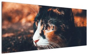 Tablou - Privirea pisicii (120x50 cm)