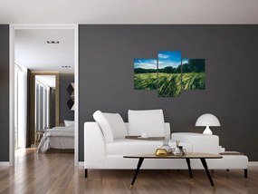 Tablou cu linca și pădure (90x60 cm)