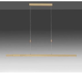 Lustră LED dimabilă pe cablu Paul Neuhaus 2568-60 ADRIANA LED/14W/230V alămie