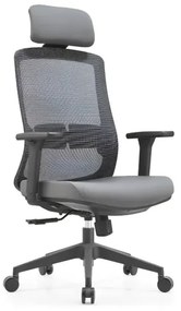 Scaun ergonomic cu suport lombar și tetieră reglabilă