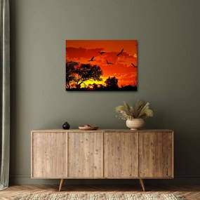 Tablou cu păsări în apus de soare (70x50 cm)