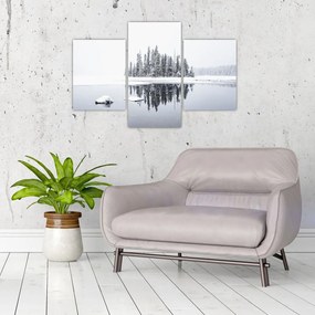 Tablou - A fost alb (90x60 cm)