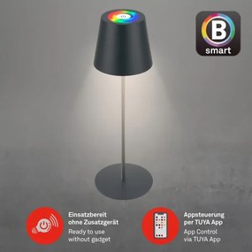 Briloner 7559015-LED Lampă de masă LED RGB COLORIS 3,5W/5V IP44 2000mAh Wi-Fi Tuya