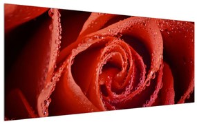 Tablou cu trandafirul roșu (120x50 cm), în 40 de alte dimensiuni noi