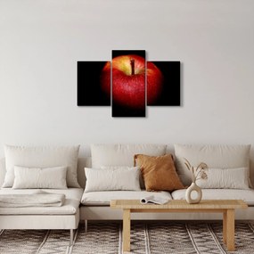 Tablou cu măr pe fundal negru (90x60 cm)