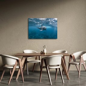 Tablou - Delfin sub apă (70x50 cm)