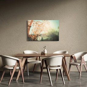Tablou - Plante după ploaie (90x60 cm)