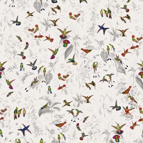 Fototapet, Hummingbird, Light, Rebel Walls