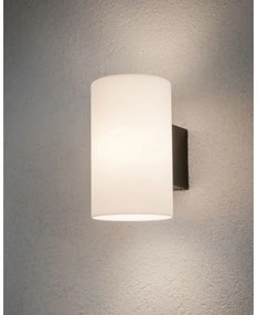 Aplică de exterior 1xE27/15W IP54 TUBE 230V Paulmann 94186