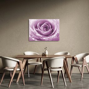 Tablou pe sticlă detaliu de floare de trandafir (70x50 cm)